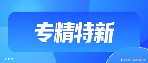 山東企業(yè)申請ITSS信息技術服務標準（運行維護）認證的必備條件與流程詳解